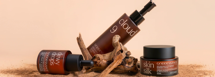 Cover image of Goddessance, E-commerce venture on VC4A