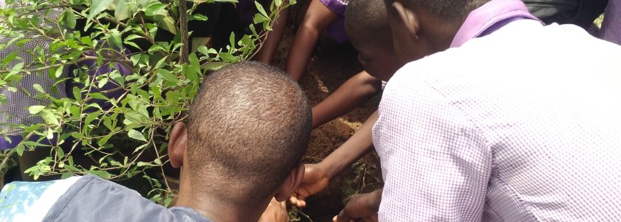 Cover image of Deepthought Humanitarian Initiatives, Educational products venture on VC4A
