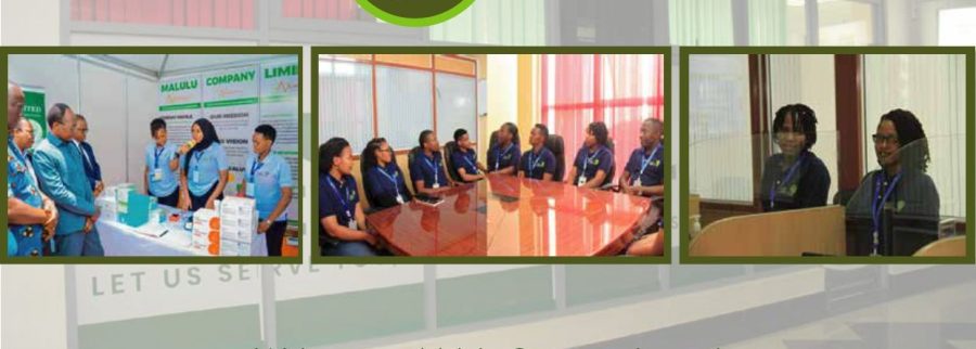 Cover image of Malulu Company Limited, Equipos e insumos médicos venture on VC4A