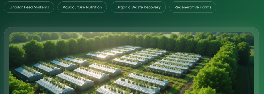 Cover image of Diptera Ltd, Agribusiness venture on VC4A