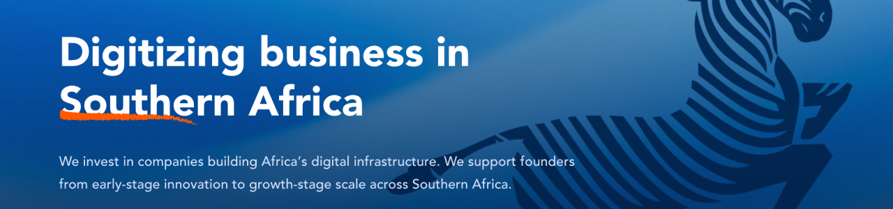 Botswana Tech Fund