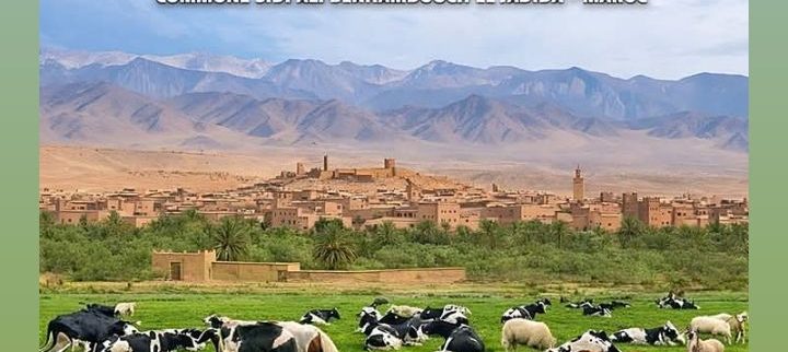 Cover image of TBT Agri farm, Agribusiness venture on VC4A