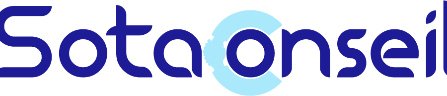 Cover image of SOTA Conseil, Artificial intelligence venture on VC4A
