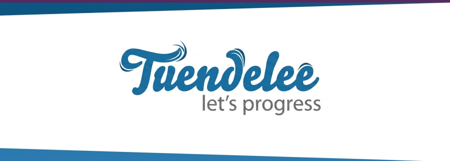 Cover image of Tuendelee Consulting, Accounting services venture on VC4A