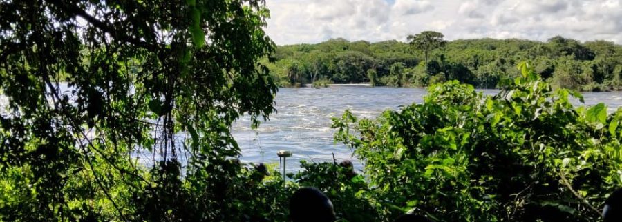 Cover image of Fly the Nile, Tourism venture on VC4A