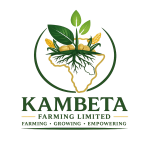 Venture Profile Kambeta Farming Limited image of Detailed Emblem Logo