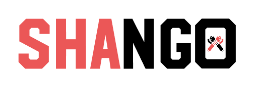 Cover image of Shango Company, Consulting and business development venture on VC4A