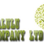 Logo of Malulu Company Limited, Equipos e insumos médicos venture on VC4A