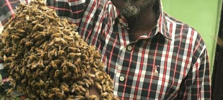 Cover image of Beekeepers Golden Heritage LTD, Agribusiness venture on VC4A