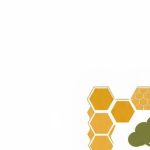 Venture Profile Roche Honey Enterprise-Baringo image of 