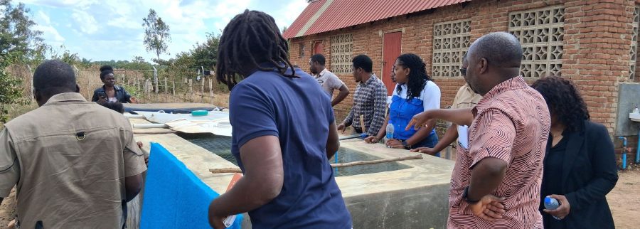 Cover image of Aquaponic for Life, Économie circulaire venture on VC4A