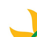 Venture Profile Sweet and Dried Enterprises Ltd image of Sweet N Dried Logo PNG